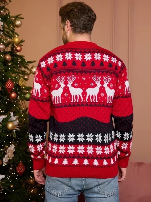 Unique Holiday Sweater - Stylish, Cosy, for Everyone.